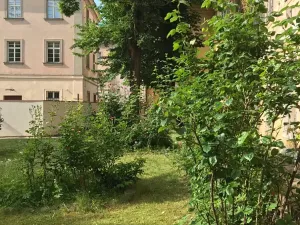Pronájem bytu 2+kk, Praha - Staré Město, Náprstkova, 38 m2