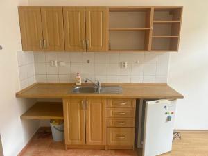 Pronájem bytu 1+kk, Praha - Holešovice, Pplk. Sochora, 25 m2
