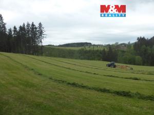 Prodej lesa, Vysoká Srbská, 26095 m2