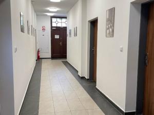 Prodej bytu 2+kk, Ostrava - Přívoz, Špálova, 73 m2