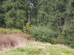 Prodej pozemku pro bydlení, Frymburk, 900 m2