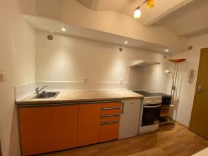 Pronájem bytu 1+1, České Budějovice - České Budějovice 1, Široká, 43 m2