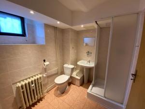 Pronájem bytu 1+1, České Budějovice - České Budějovice 1, Široká, 43 m2