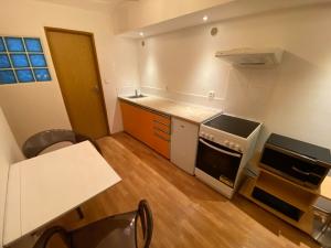 Pronájem bytu 1+1, České Budějovice - České Budějovice 1, Široká, 43 m2