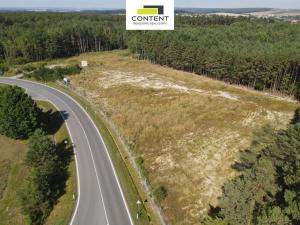 Prodej skladu, Plzeň - Skvrňany, Domažlická, 1928 m2