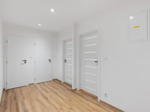 Prodej bytu 2+kk, Praha - Nusle, Na Pankráci, 52 m2