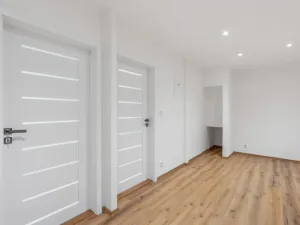 Prodej bytu 2+kk, Praha - Nusle, Na Pankráci, 52 m2