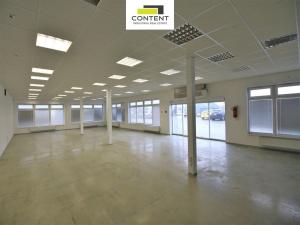 Pronájem výrobních prostor, Brno - Slatina, Řípská, 800 m2
