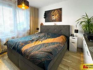 Prodej bytu 3+1, Brno, Kachlíkova, 72 m2