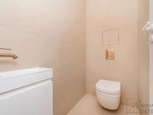 Prodej bytu 2+kk, Praha - Vinohrady, Chodská, 55 m2