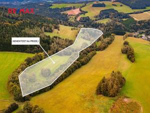 Prodej pozemku pro bydlení, Orličky, 61702 m2