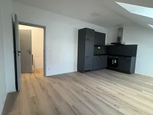 Pronájem bytu 1+kk, České Budějovice, Rudolfovská tř., 30 m2