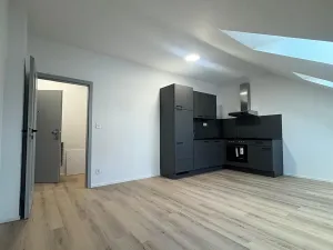 Pronájem bytu 1+kk, České Budějovice, Rudolfovská tř., 30 m2