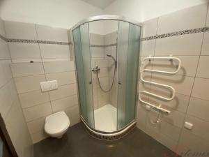 Pronájem bytu 1+kk, Staříč, Fryčovická, 33 m2