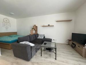 Pronájem bytu 1+kk, Olomouc, Edmunda Husserla, 44 m2