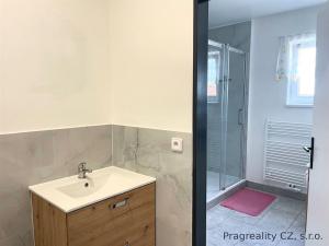 Pronájem bytu 1+kk, Roztoky, 15 m2