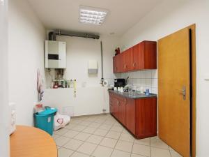 Pronájem kanceláře, Brno, Pekařská, 318 m2