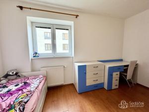 Pronájem bytu 3+1, Sokolov, Karla Havlíčka Borovského, 62 m2