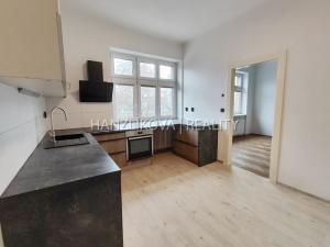 Pronájem bytu 1+1, České Budějovice - České Budějovice 6, Nádražní, 44 m2