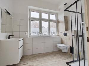 Pronájem bytu 1+1, České Budějovice - České Budějovice 6, Nádražní, 44 m2