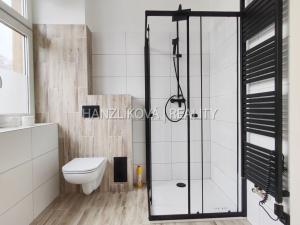 Pronájem bytu 1+1, České Budějovice - České Budějovice 6, Nádražní, 44 m2