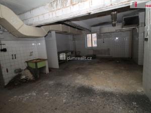 Prodej ubytování, Karlovy Vary - Rybáře, Sokolovská, 600 m2