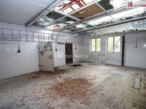 Prodej činžovního domu, Karlovy Vary - Rybáře, Sokolovská, 600 m2