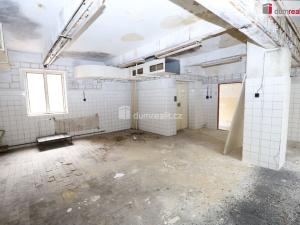 Prodej činžovního domu, Karlovy Vary - Rybáře, Sokolovská, 600 m2