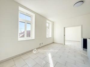 Prodej bytu 4+kk, Znojmo, U Brány, 95 m2