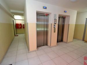 Pronájem bytu 2+kk, Praha - Žižkov, Habrová, 50 m2