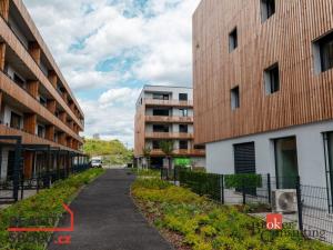 Pronájem bytu 1+kk, Plzeň, Kartónová, 30 m2