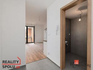 Pronájem bytu 1+kk, Plzeň, Kartónová, 30 m2