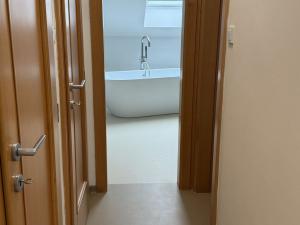 Pronájem bytu 3+kk, Opava, Rooseveltova, 91 m2