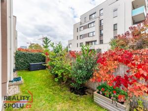 Pronájem bytu 2+kk, Praha - Hloubětín, Saarinenova, 50 m2