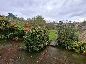 Prodej rodinného domu, Nový Jičín, Trlicova, 100 m2