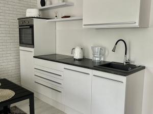 Pronájem bytu 1+kk, Praha - Libeň, Nad Kolčavkou, 42 m2