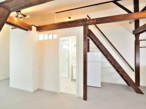 Pronájem bytu 1+kk, Praha - Nusle, Oldřichova, 38 m2