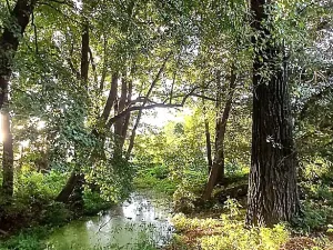 Prodej vily, Kouřim, Kolínská, 280 m2