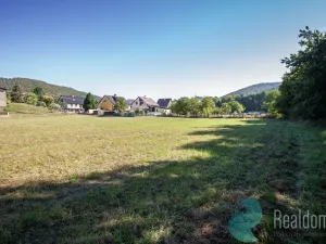Prodej pozemku pro bydlení, Lesnice, 2031 m2