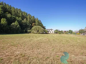 Prodej pozemku pro bydlení, Lesnice, 2031 m2