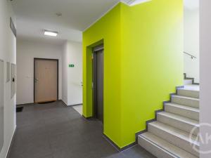 Pronájem bytu 2+kk, Ostrava - Moravská Ostrava, Na Prádle, 61 m2