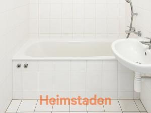 Pronájem bytu 3+1, Albrechtice, Hornická, 73 m2