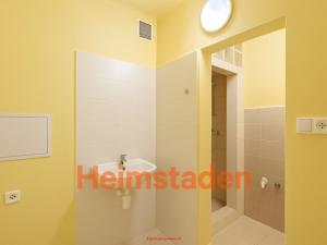 Pronájem bytu 1+kk, Havířov - Město, Vardasova, 23 m2