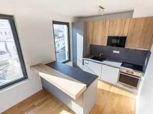 Prodej bytu 3+kk, Praha - Žižkov, Seifertova, 68 m2