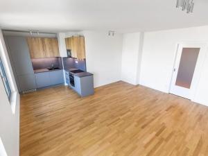 Prodej bytu 2+kk, Praha - Žižkov, Seifertova, 64 m2