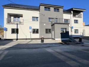 Pronájem bytu 1+kk, Ostrava - Martinov, Kamenná, 33 m2