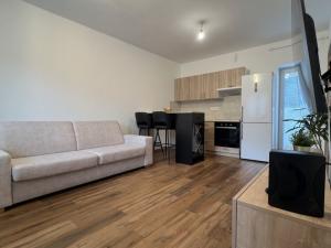 Pronájem bytu 1+kk, Ostrava - Martinov, Kamenná, 33 m2