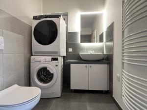 Pronájem bytu 1+kk, Ostrava - Martinov, Kamenná, 33 m2