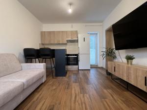 Pronájem bytu 1+kk, Ostrava - Martinov, Kamenná, 33 m2