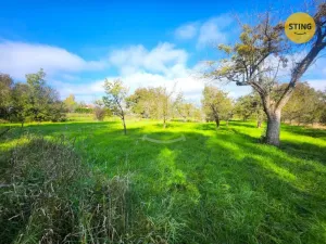 Prodej zahrady, Osek nad Bečvou, 2697 m2
